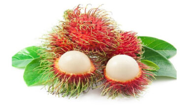 خواص رامبوتان