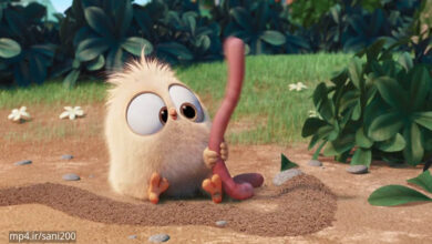 کرم ها چگونه تنفس می کنند